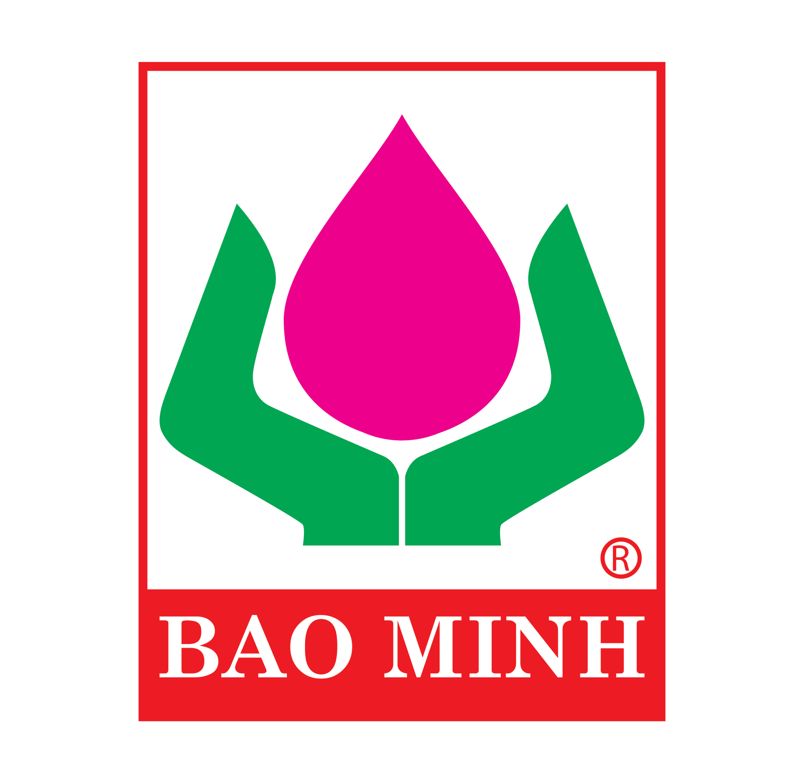 baominhLogo scaled
